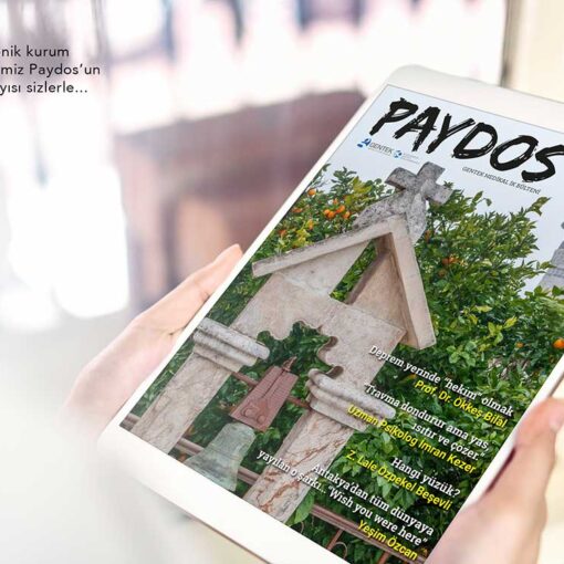 PAYDOS/MART-2023