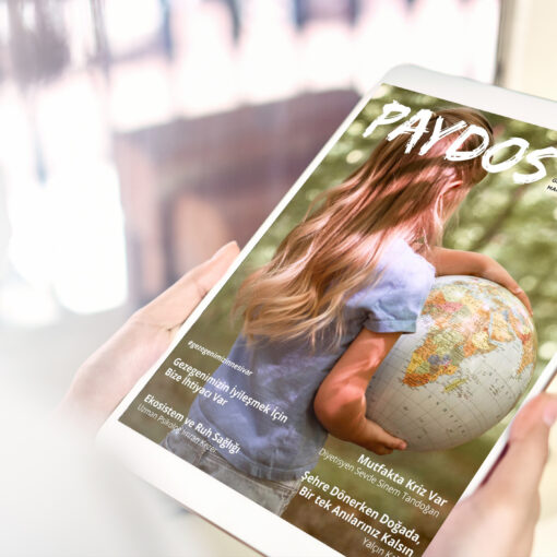 PAYDOS/MART 2024